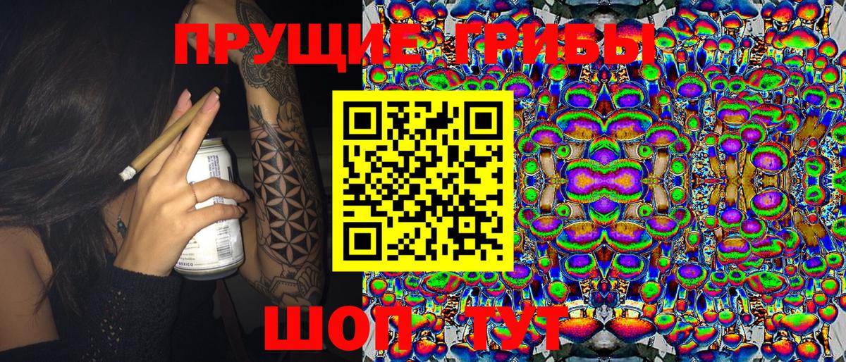 где купить   Галлюциногенные грибы Psilocybine cubensis  Вход с VPN  Псилоцибиновые грибы Psilocybine cubensis  Кемерово 